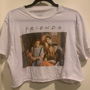 Cute Friends crop top lightweight fun size large
